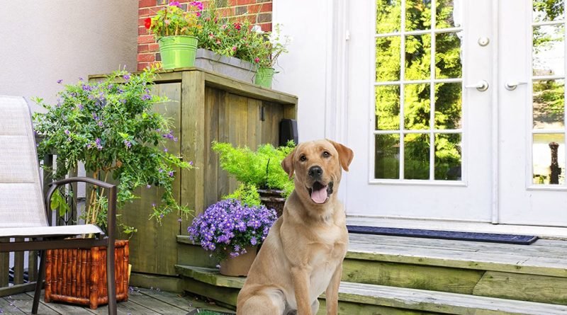 How To House Train Your Dog Using Dog Housebreaking Products