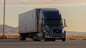 Choose-the-Best-Trucking-Permit-Companies-in-Texas-on-freethoughtsportal