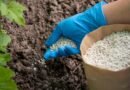 Fertilizer High In Nitrogen: Fueling Lush Growth In Lawns And Gardens
